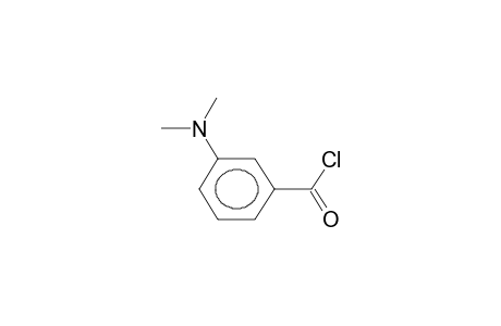 META-DIMETHYLAMINOBENZOYL CHLORIDE