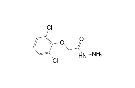 2-(2,6-Dichlorophenoxy)acetohydrazide