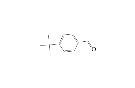4-tert-Butylbenzaldehyde