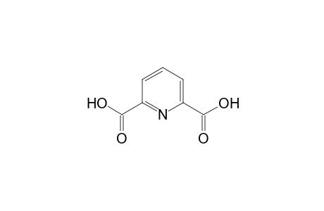 2,6-Pyridine dicarboxylic acid