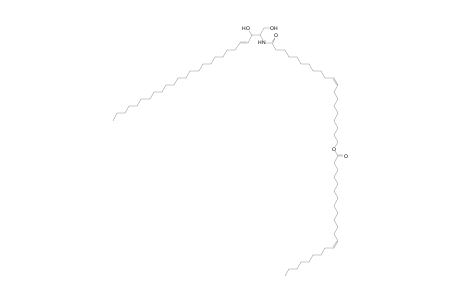 Cer 26:1;2O/20:1;O(FA 22:1)