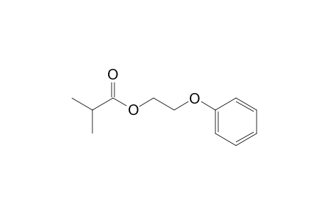 2-Phenoxyethyl isobutyrate