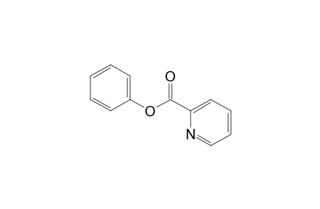 Phenyl picolinate