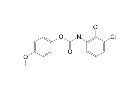 (2,3-Dichlorophenyl)carbamic acid 4-methoxyphenyl ester