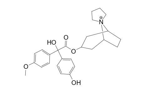 Trospium-M (di-HO-methoxy-) MS2