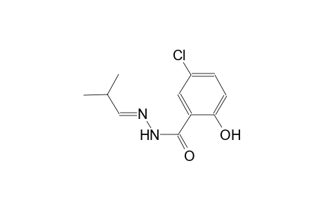 5-chloro-2-hydroxy-N'-[(E)-2-methylpropylidene]benzohydrazide