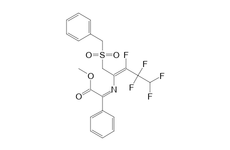 METHYL-(1-BENZYLSULFONYLMETHYL-2,3,3,4,4-PENTAFLUORO-1-BUTENYLAMINO)-PHENYLACETATE