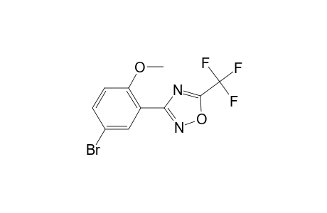 1,2,4-Oxadiazole, 3-(5-bromo-2-methoxyphenyl)-5-trifluoromethyl-
