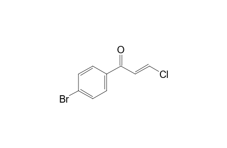 trans-4'-bromo-3-chloroacrylophenone