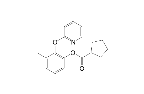 3-Methyl-2-(pyridin-2-yloxy)phenyl cyclopentanecarboxylate