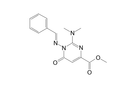 1-(benzylideneamino)-2-dimethylamino-6-keto-pyrimidine-4-carboxylic acid methyl ester