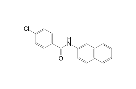 p-chloro-N-2-naphthylbenzamide