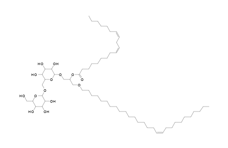 DGDG O-28:1_19:2