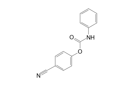 4-cyanophenyl phenylcarbamate