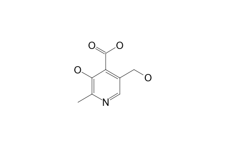 4-Pyridoxic acid