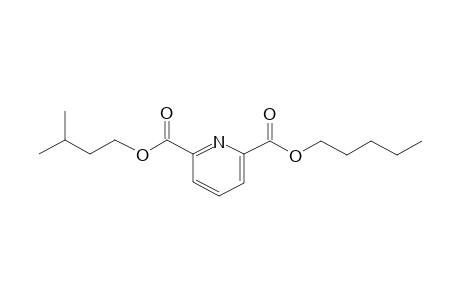 2,6-Pyridinedicarboxylic acid, 3-methylbutyl pentyl ester