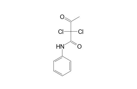 butanamide, 2,2-dichloro-3-oxo-N-phenyl-