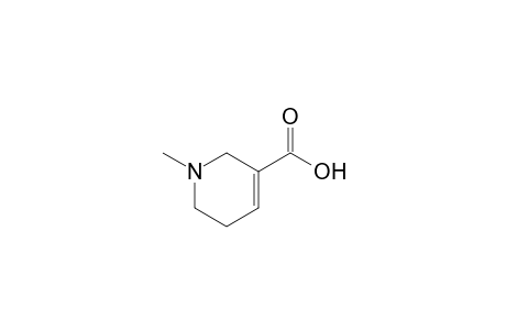 1-Methyl-1,2,5,6-tetrahydronicotinic acid