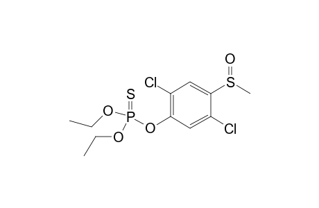 O-[2,5-dichloro-4-(methylsulfinyl)phenyl] O,O-diethyl thiophosphate