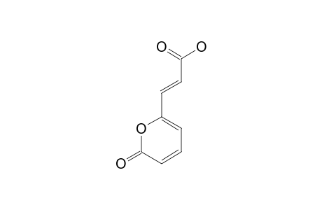 3-(2-Pyron-6-yl)-propenoic-acid