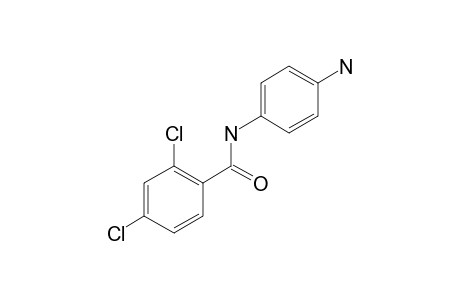 N-(4-Aminophenyl)-2,4-dichlorobenzamide