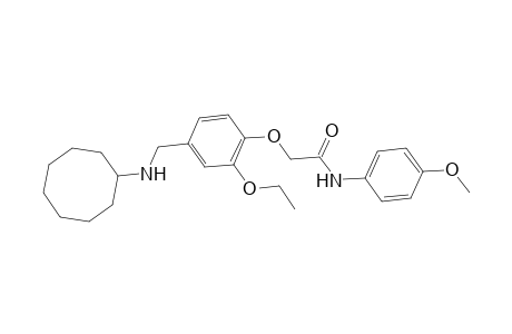 2-{4-[(cyclooctylamino)methyl]-2-ethoxyphenoxy}-N-(4-methoxyphenyl)acetamide