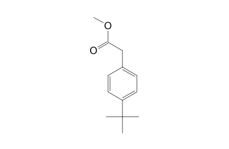 Methyl (4-tert-butylphenyl)acetate