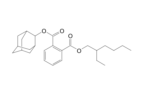 Phthalic acid, 2-adamantyl 2-ethylhexyl ester