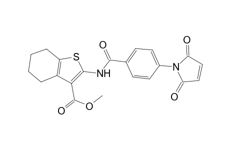 methyl 2-{[4-(2,5-dioxo-2,5-dihydro-1H-pyrrol-1-yl)benzoyl]amino}-4,5,6,7-tetrahydro-1-benzothiophene-3-carboxylate