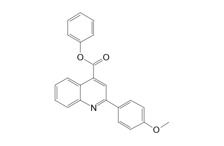 Phenyl 2-(4-methoxyphenyl)-4-quinolinecarboxylate