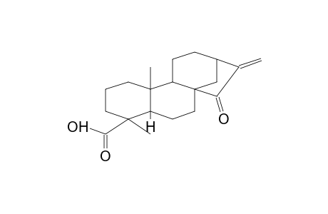 KAUR-16-EN-18-OIC ACID, 15-OXO-