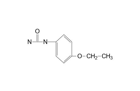 (p-ethoxyphenyl)urea