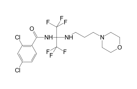 2,4-Dichloro-N-(1,1,1,3,3,3-hexafluoro-2-{[3-(morpholin-4-yl)propyl]amino}propan-2-yl)benzamide