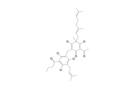 YUNGENSIN_D;2-{[2,4,6-TRIHYDROXY-5-(3-METHYL-2-BUTENYL)-3-BUTANOYLPHENYL]-METHYL}-3,5-DIHYDROXY-4-METHYL-4-(3,7-DIMETHYL-2,6-OCTA