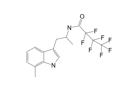 7-Me-AMT HFB