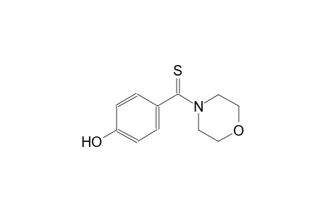 4-[p-hydroxy(thiobenzoyl)]morpholine