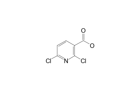 2,6-Dichloronicotinic acid