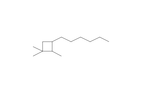 3-Hexyl-1,1,2-trimethylcyclobutane
