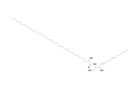 Cer 14:2;2O/31:0;(2OH)