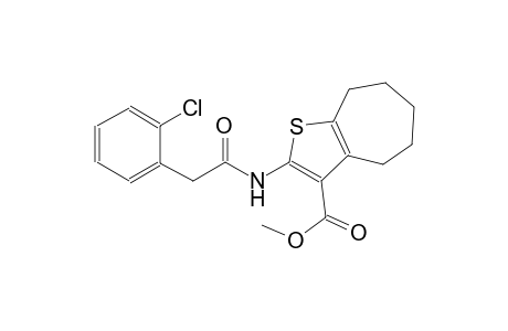 methyl 2-{[(2-chlorophenyl)acetyl]amino}-5,6,7,8-tetrahydro-4H-cyclohepta[b]thiophene-3-carboxylate