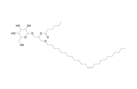 MGDG O-24:1_6:0