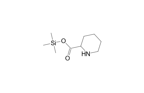 2-Piperidinecarboxylic acid, trimethylsilyl ester