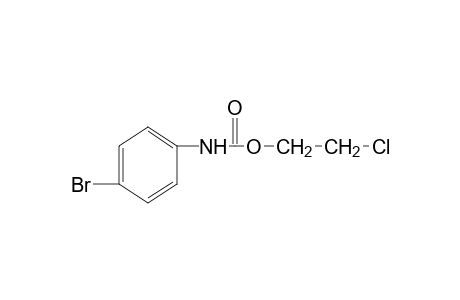 p-bromocarbanilic acid, 2-chloroethyl ester