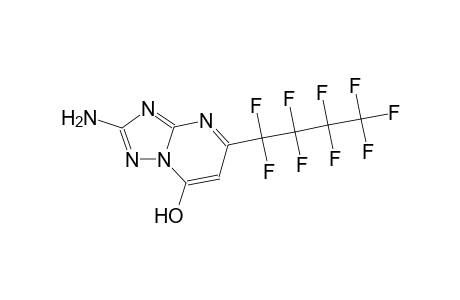 2-amino-5-(1,1,2,2,3,3,4,4,4-nonafluorobutyl)[1,2,4]triazolo[1,5-a]pyrimidin-7-ol