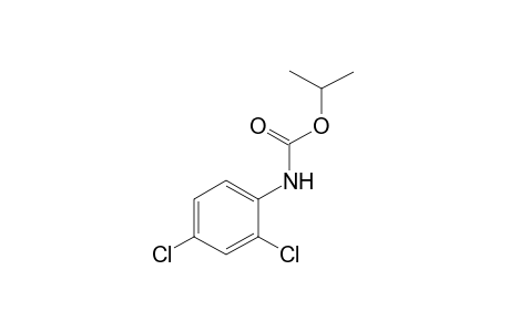 2,4-dichlorocarbanilic acid, isopropyl ester