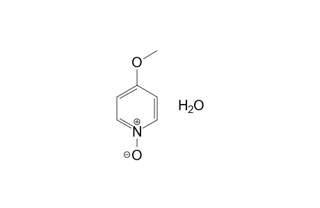 4-Methoxypyridine N-oxide hydrate