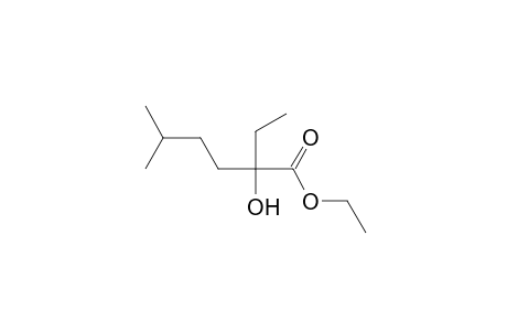 2-ethyl-2-hydroxy-5-methylhexanoic acid, ethyl ester