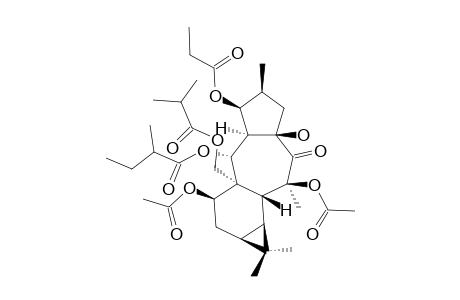 Premyrsinol-3-propanoate-5-.alpha.-methylbutyrate - 7,13-Diacetate - 17-Isobutyrate