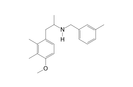 2,3-DiMe-4-MA m-tolyl