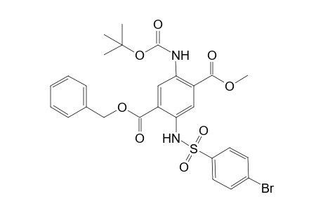 1-Benzyl 4-Methyl 2-[(p-bromobenzenesulfonyl)amino]-5-[(t-butoxycaronyl)amino]-terephthalate